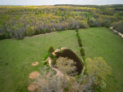 Farm/ Hunting Land in Howell County, Missouri - image 10