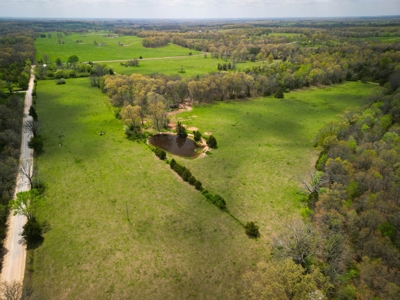 Farm/ Hunting Land in Howell County, Missouri - image 13