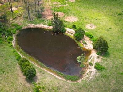 Farm/ Hunting Land in Howell County, Missouri - image 12