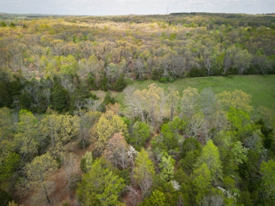 Farm/ Hunting Land in Howell County, Missouri - image 8