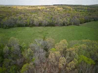 Farm/ Hunting Land in Howell County, Missouri - image 9