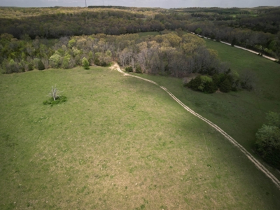 Farm/ Hunting Land in Howell County, Missouri - image 5