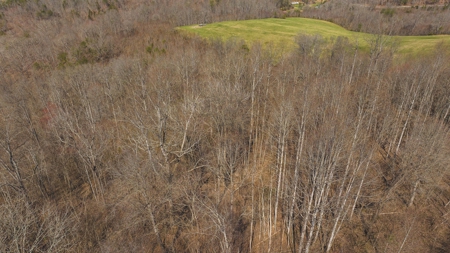 15 Acres in Claiborne County, Tennessee - image 18
