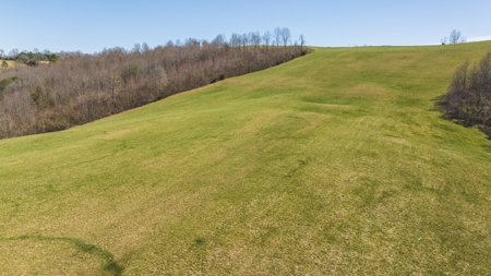 15 Acres in Claiborne County, Tennessee - image 21