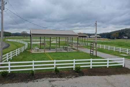 Tennessee River Front With New Dock For Sale in Clifton, TN - image 5