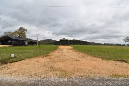 Tennessee River Front With New Dock For Sale in Clifton, TN - image 10