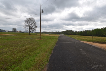 Tennessee River Front With New Dock For Sale in Clifton, TN - image 18