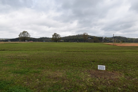 Tennessee River Front With New Dock For Sale in Clifton, TN - image 17