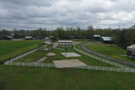 Tennessee River Front With New Dock For Sale in Clifton, TN - image 7