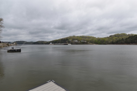 Tennessee River Front With New Dock For Sale in Clifton, TN - image 13