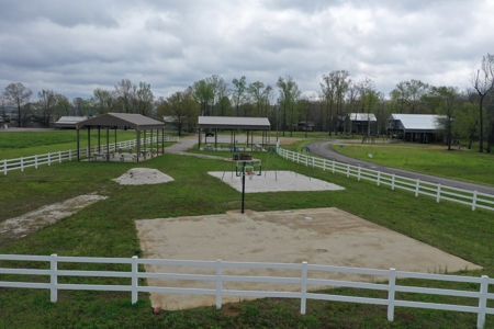 Tennessee River Front With New Dock For Sale in Clifton, TN - image 8