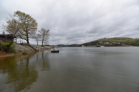Tennessee River Front With New Dock For Sale in Clifton, TN - image 14
