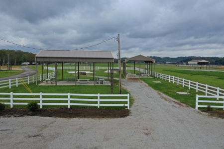 Tennessee River Front With New Dock For Sale in Clifton, TN - image 6