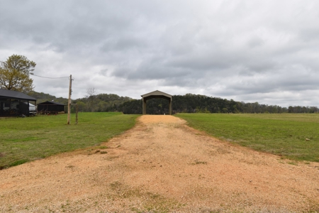 Tennessee River Front With New Dock For Sale in Clifton, TN - image 9