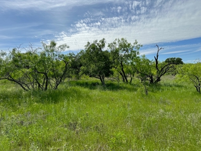 Lot 180 at The Hideout Golf Resort at Lake Brownwood, TX - image 9