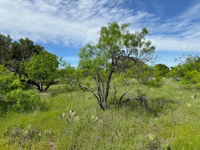 Lot 180 at The Hideout Golf Resort at Lake Brownwood, TX - image 6