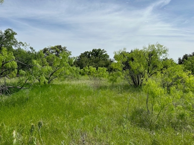 Lot 180 at The Hideout Golf Resort at Lake Brownwood, TX - image 12