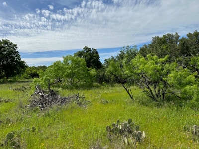 Lot 180 at The Hideout Golf Resort at Lake Brownwood, TX - image 7