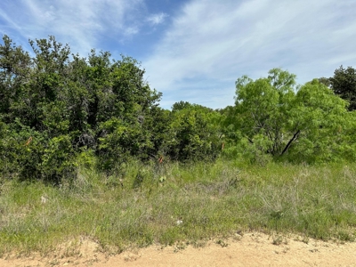 Lot 180 at The Hideout Golf Resort at Lake Brownwood, TX - image 3