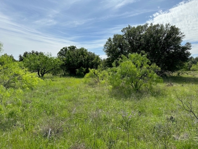 Lot 180 at The Hideout Golf Resort at Lake Brownwood, TX - image 1