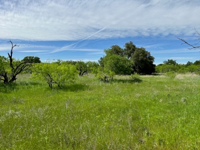 Lot 180 at The Hideout Golf Resort at Lake Brownwood, TX - image 8