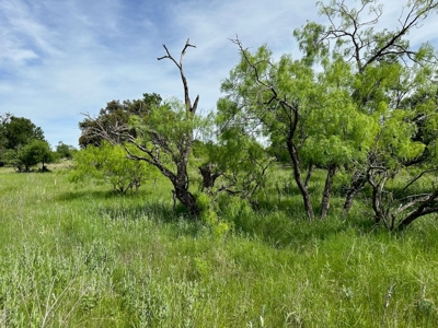 Lot 180 at The Hideout Golf Resort at Lake Brownwood, TX - image 11
