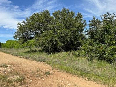 Lot 180 at The Hideout Golf Resort at Lake Brownwood, TX - image 2