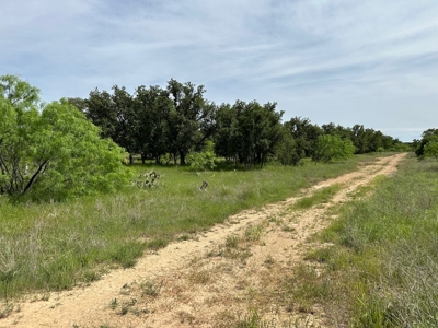 Lot 180 at The Hideout Golf Resort at Lake Brownwood, TX - image 4
