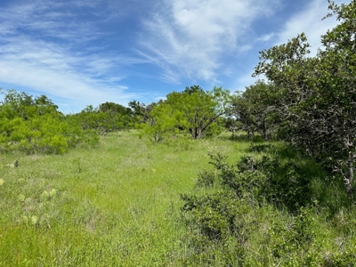 Lot 180 at The Hideout Golf Resort at Lake Brownwood, TX - image 5