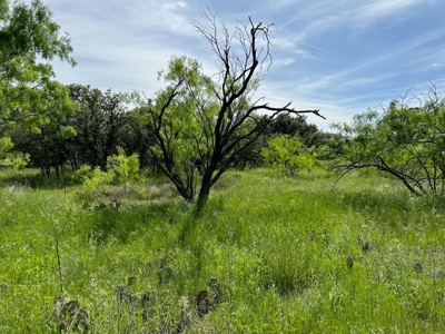 Lot 180 at The Hideout Golf Resort at Lake Brownwood, TX - image 10