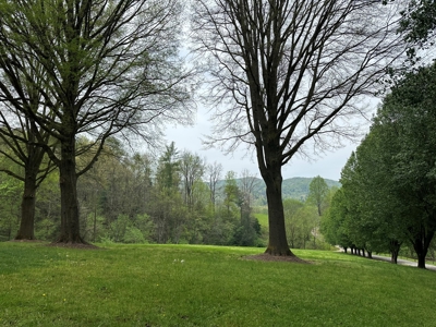 Country home in Boomer, NC nestled on +/- 5 Acres - image 4