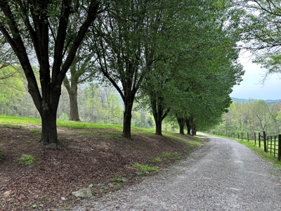 Country home in Boomer, NC nestled on +/- 5 Acres - image 2