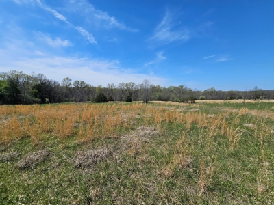 Get Lost On Your Own Property - image 33