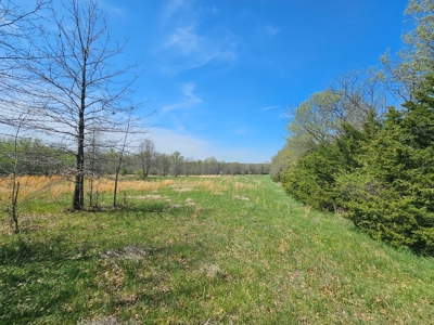 Get Lost On Your Own Property - image 34