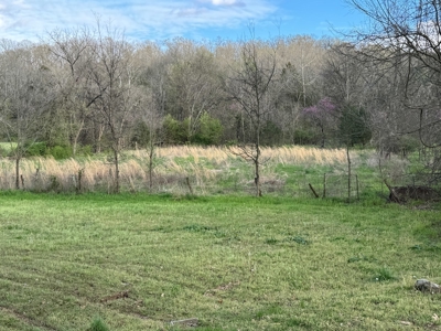 Country Home For Sale in Imboden, AR - image 5