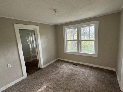 Country Home For Sale in Imboden, AR - image 15