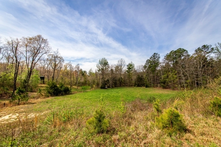 Arkansas Ozarks Land For Sale w/Country Home Near Leslie, AR - image 44