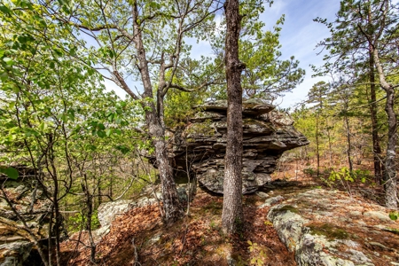 Arkansas Ozarks Land For Sale w/Country Home Near Leslie, AR - image 48