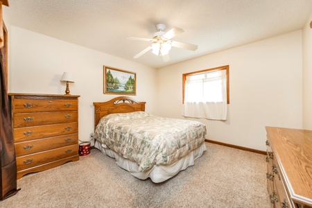Arkansas Ozarks Land For Sale w/Country Home Near Leslie, AR - image 13