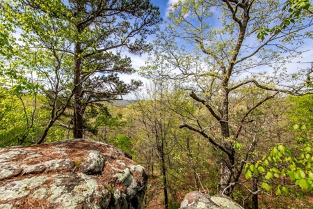 Arkansas Ozarks Land For Sale w/Country Home Near Leslie, AR - image 49