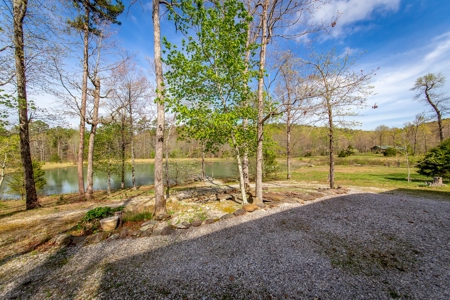 Arkansas Ozarks Land For Sale w/Country Home Near Leslie, AR - image 3