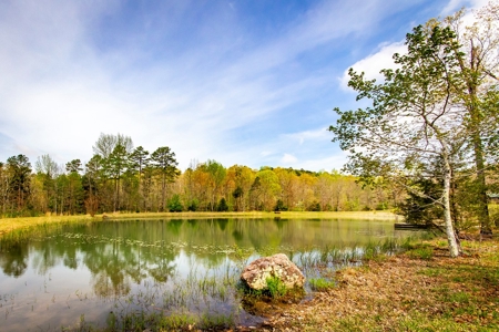 Arkansas Ozarks Land For Sale w/Country Home Near Leslie, AR - image 39