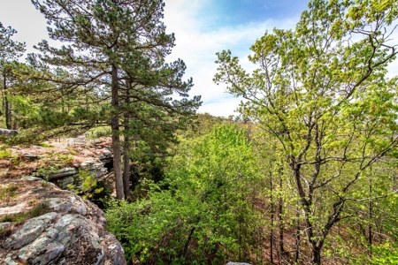 Arkansas Ozarks Land For Sale w/Country Home Near Leslie, AR - image 47