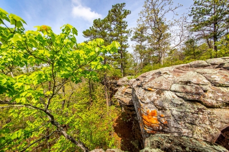 Arkansas Ozarks Land For Sale w/Country Home Near Leslie, AR - image 46