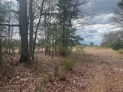 120 Acres of Land for Sale in Dallas County Arkansas - image 8