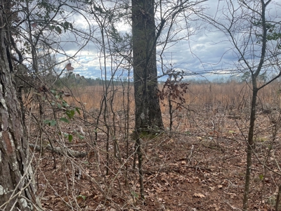 120 Acres of Land for Sale in Dallas County Arkansas - image 4