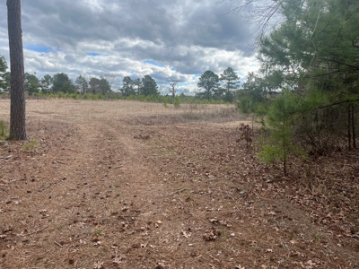 120 Acres of Land for Sale in Dallas County Arkansas - image 1