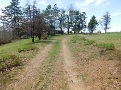 Hunting Property Bordering Ozark National Forest For Sale - image 44