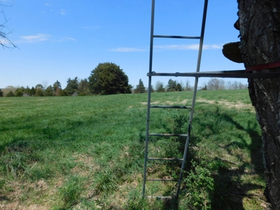 Hunting Property Bordering Ozark National Forest For Sale - image 21