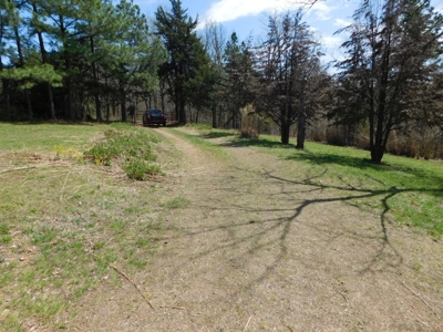 Hunting Property Bordering Ozark National Forest For Sale - image 42